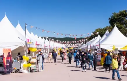 2025-횡성한우축제-초대가수-일정-프로그램