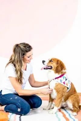 강아지가 집에서 사고를 칠 때&amp;#44; 효과적인 대처법과 예방 방법