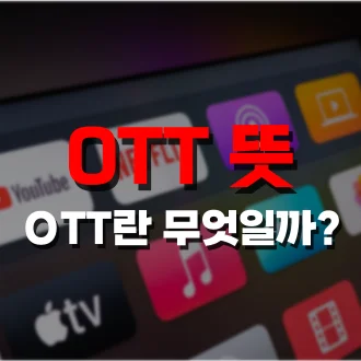 ott 뜻