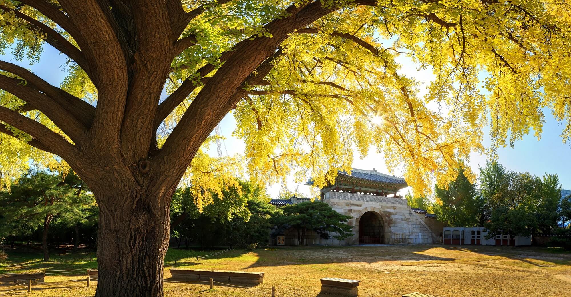 경복궁 야간개장