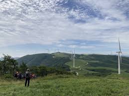 여름에 걷기 좋은 숲길 10