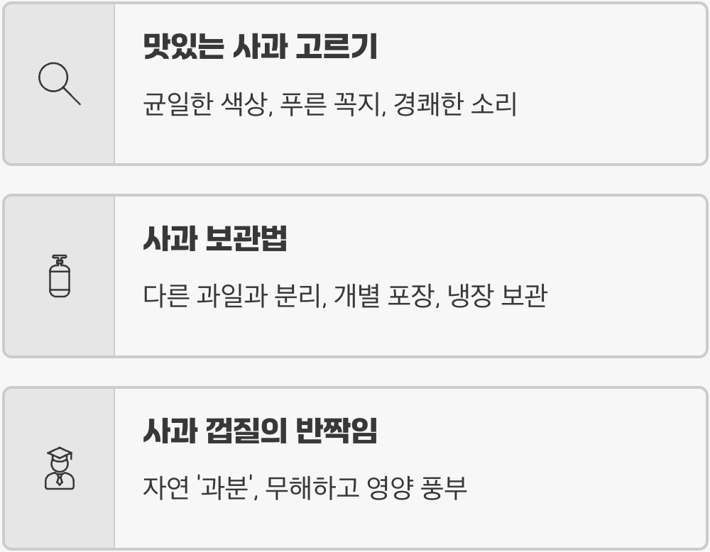 홍로사과 vs 부사사과, 맛, 당도, 식감 완벽 비교 (추석엔 뭘 사야 할까?)