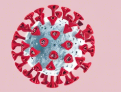 코로나 예방접종 무료대상