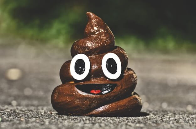 바지에 똥싼꿈
