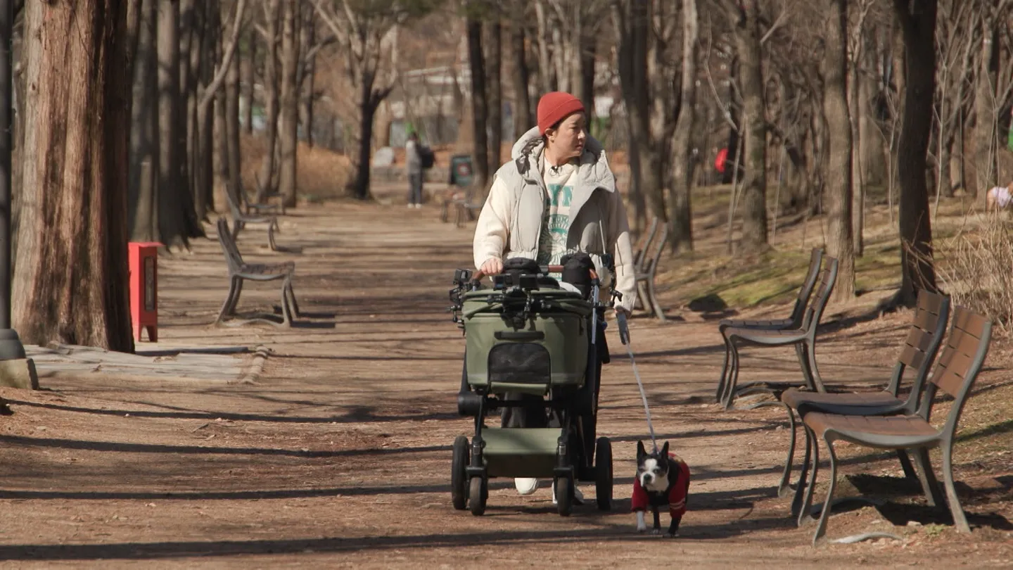 박세리 반려견