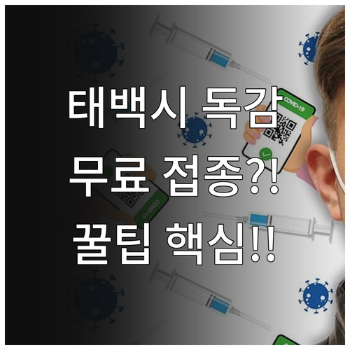 태백시 2025 독감 무료 접종: 어..