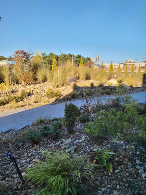 여수 스타벅스 조경