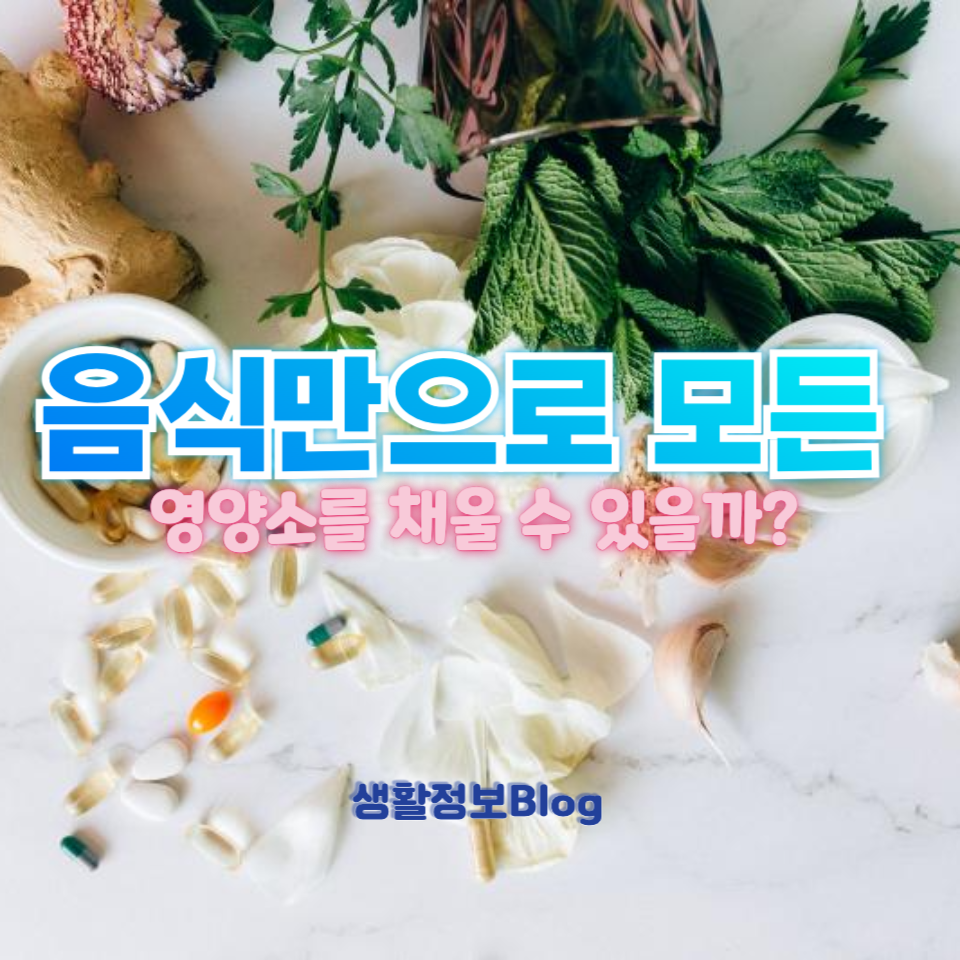 음식만으로 영양소를 채우는 것이 가능할까?