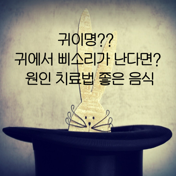 귀이명