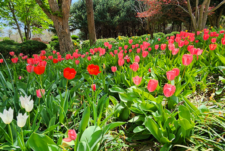 익산 아가페정원