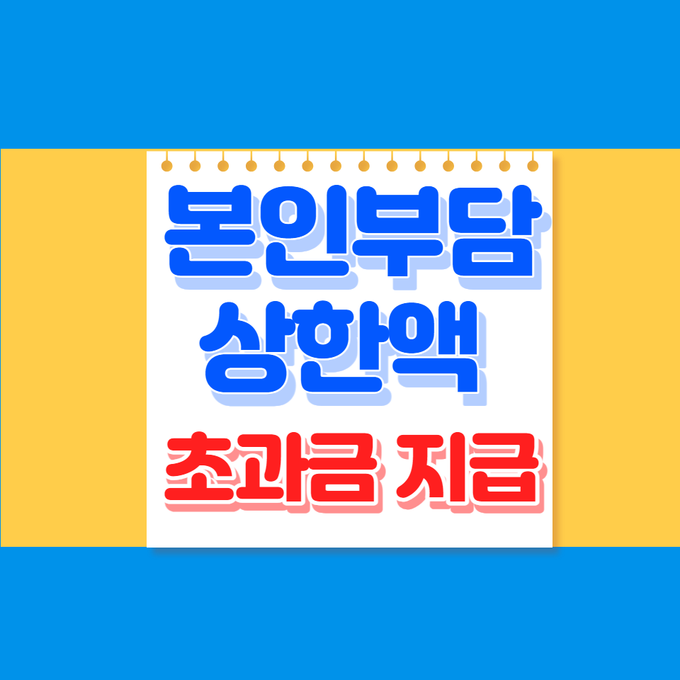본인부담상한액 초과금 지급신청