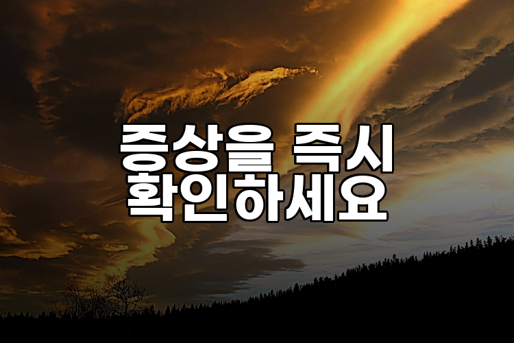 증상을 즉시 확인하세요