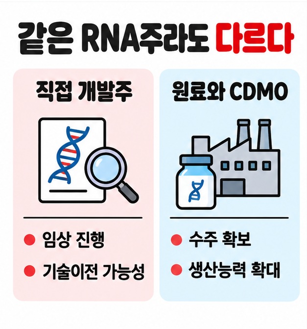 RNA 직접 개발주는 임상과 기술이전, 원료와 CDMO 기업은 수주와 생산능력을 확인한다는 비교 카드