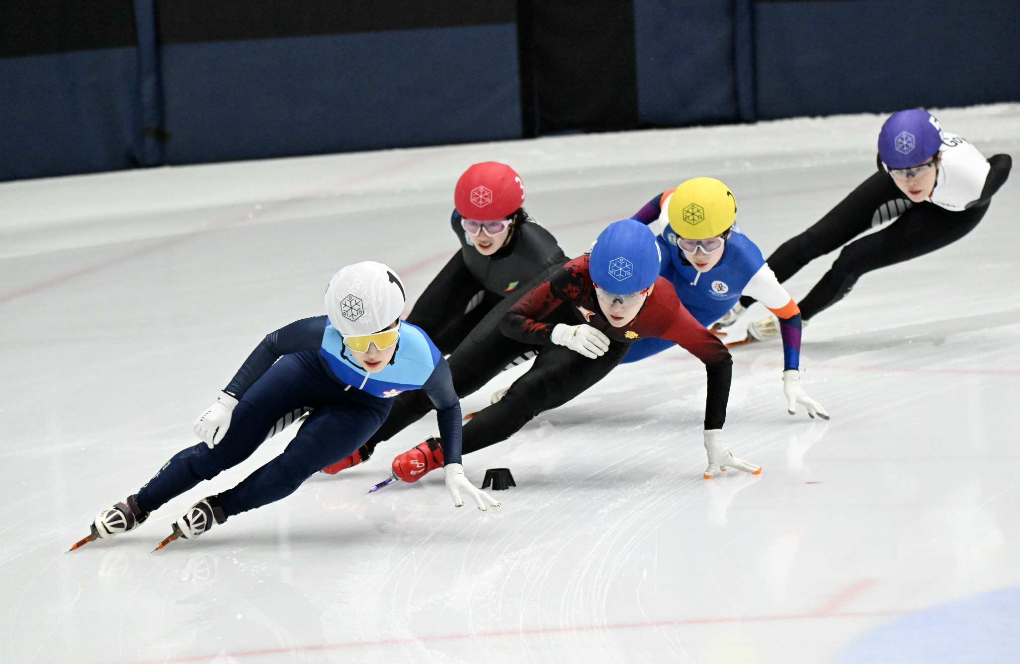 제106회 전국동계체전 결과! [시도별 종합 순위, MVP, 다관왕, 체육대회, 스키, 피겨, 쇼트트랙, 스피드 스케이팅]