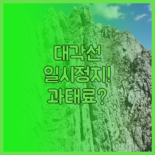 대각선 횡단보도 우회전 일시정지 의무..