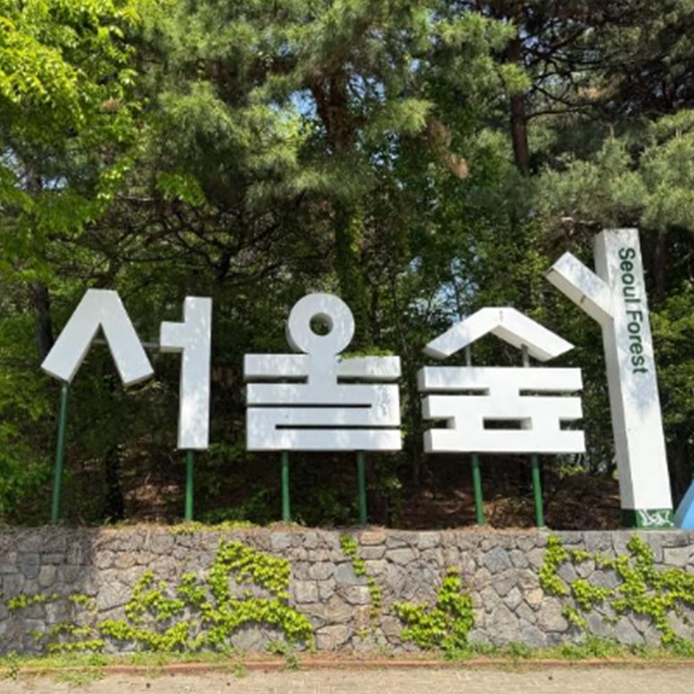 서울숲