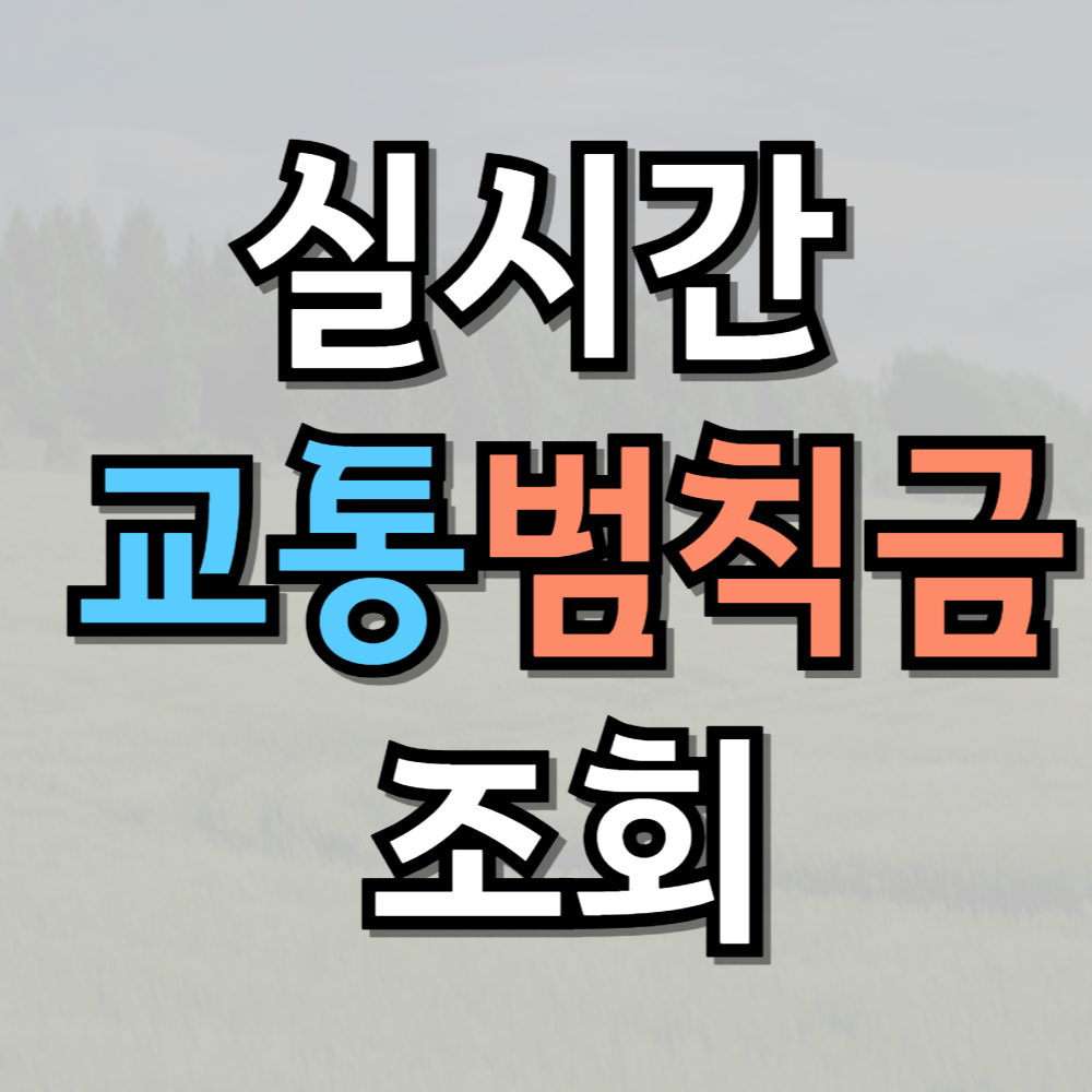 실시간 교통범칙금 조회