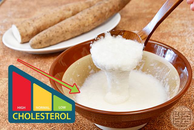 고지혈증 좋은 음식 참마 고지혈증약 스타틴 효과