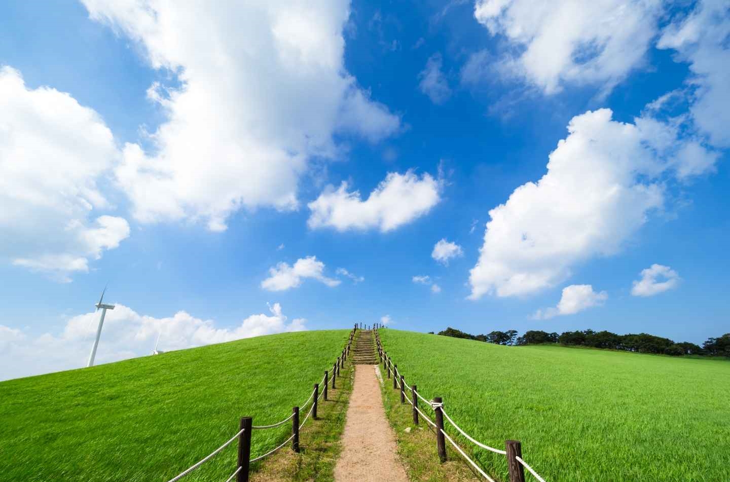 삼양라운드힐 동해전망대