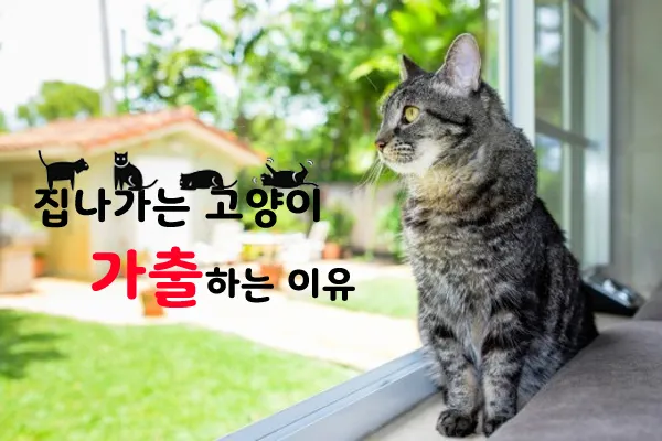 &amp;quot;고양이