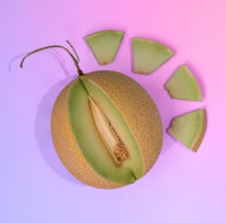 비타민A가 많은 음식