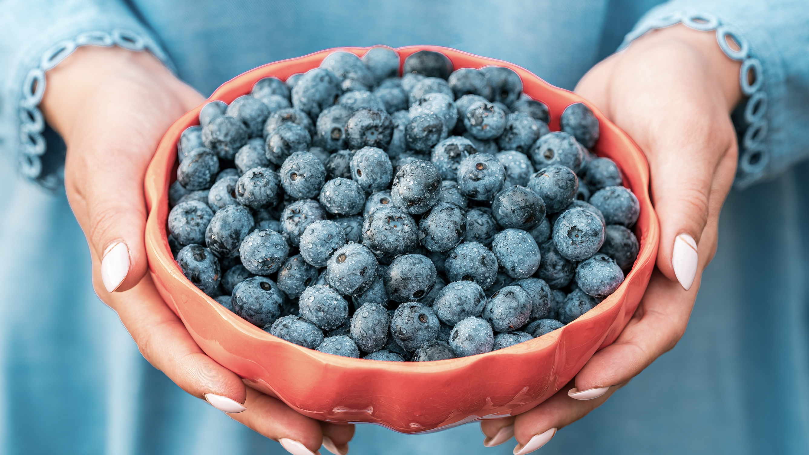 베리류 (블루베리, 라즈베리)