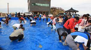제 14회 영덕 물가자미축제 기본일정과 프로그램 소개 미스트롯3 권연서 출연