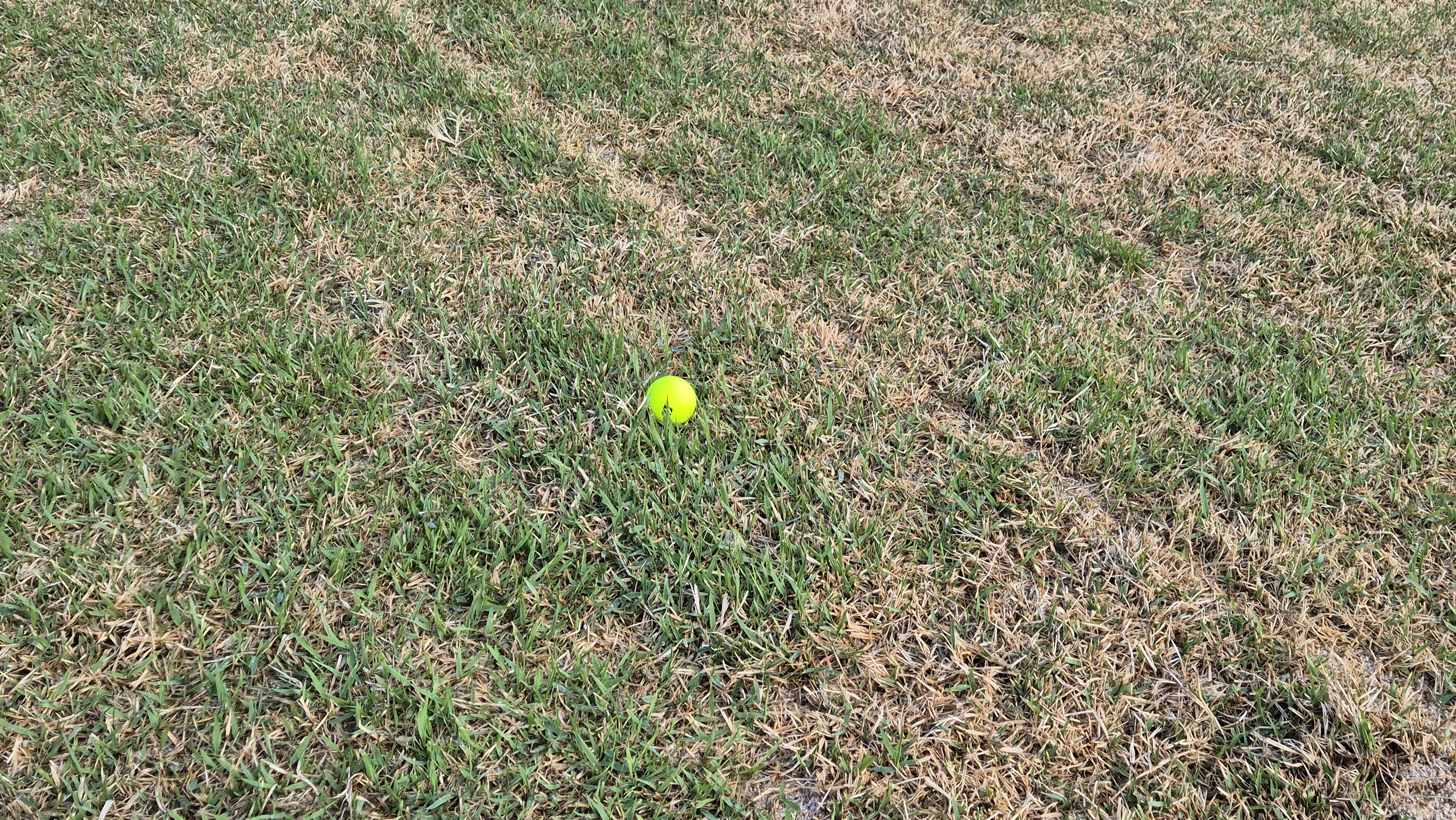 마에스트로cc 라운드 후기