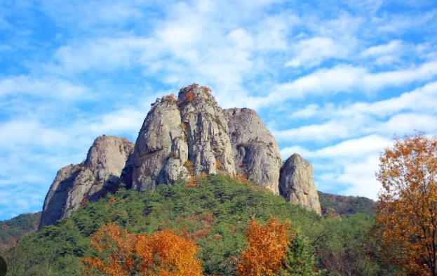 물안개 피어오르는 주산지의 새벽, 주왕산이 주는 힐링의 순간