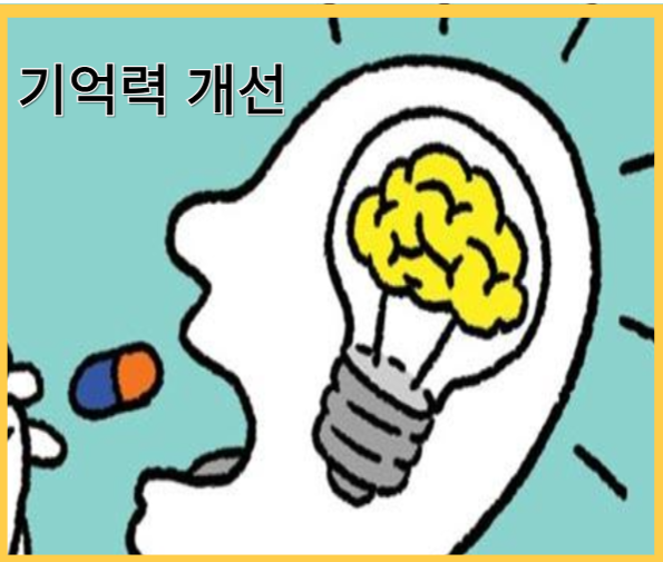 하이퍼셀 오메가3 - 기억력개선