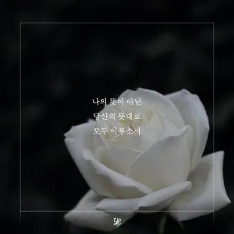 위로의 성경 말씀 치유의 말씀 50선_20