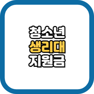 청소년 생리대 지원