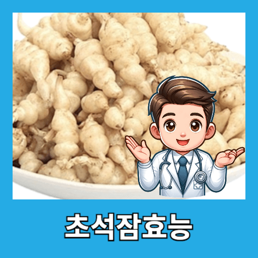 초석잠 효능