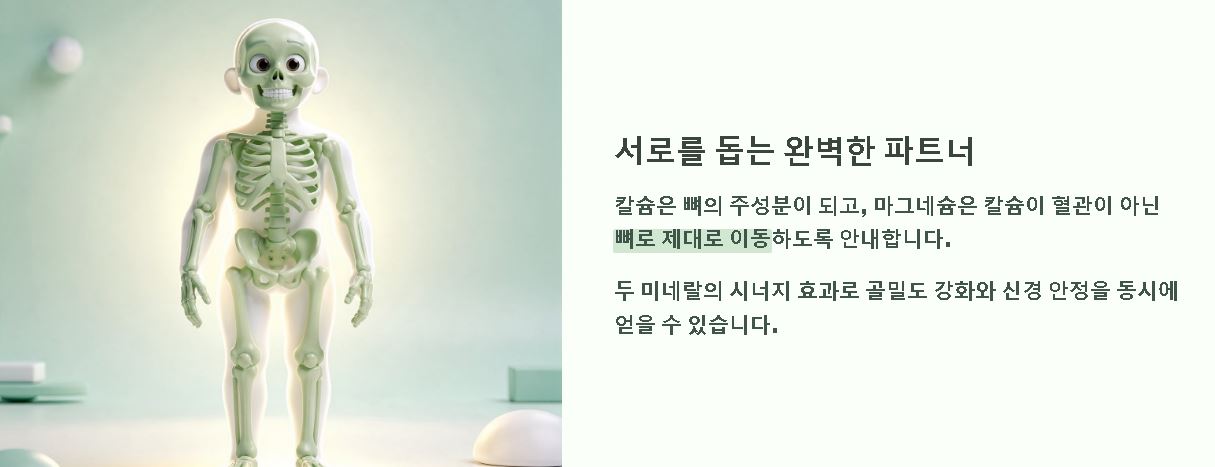 칼슘 마그네슘 영양제 핵심정리