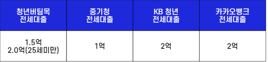 4가지 청년 전세자금대출의 한도비교를 위해 각각의 대출한도액을 숫자로 표기한 그림