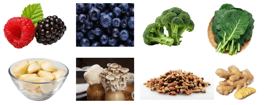 면역력에-좋은-음식