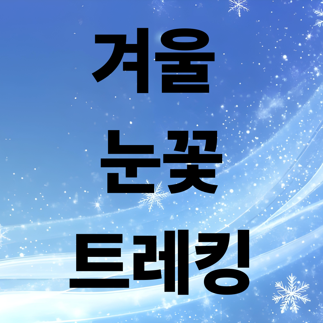 겨울 여행 추천|눈꽃 트레킹 명소