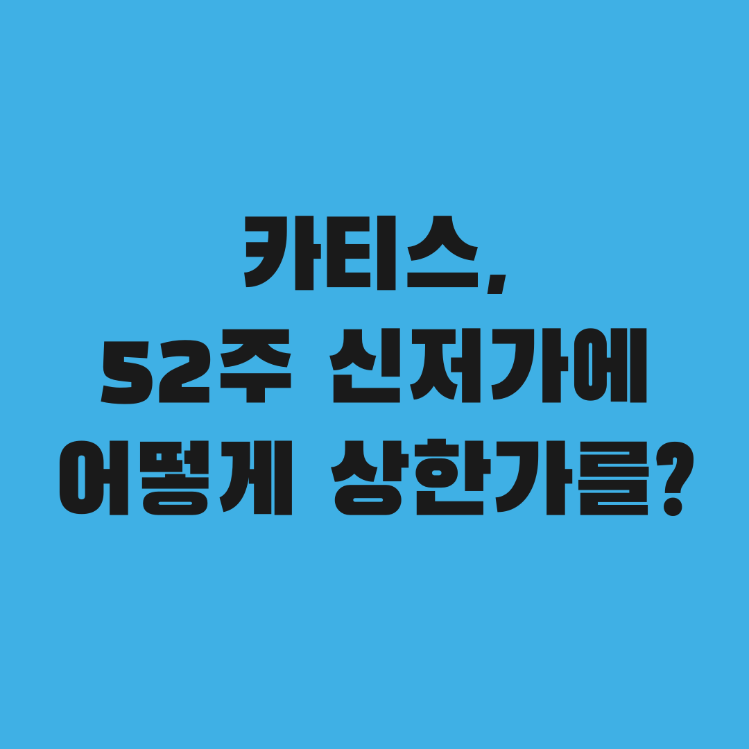52주 신저가 찍은 카티스, 어떻게 상한가 갔나