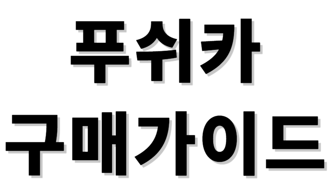 푸쉬카 구매가이드