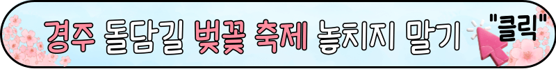 경주 벚꽃 명소