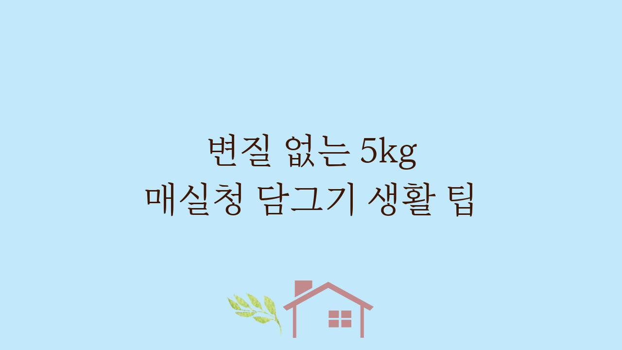 변질 없는 5kg 매실청 담그기 생활 팁