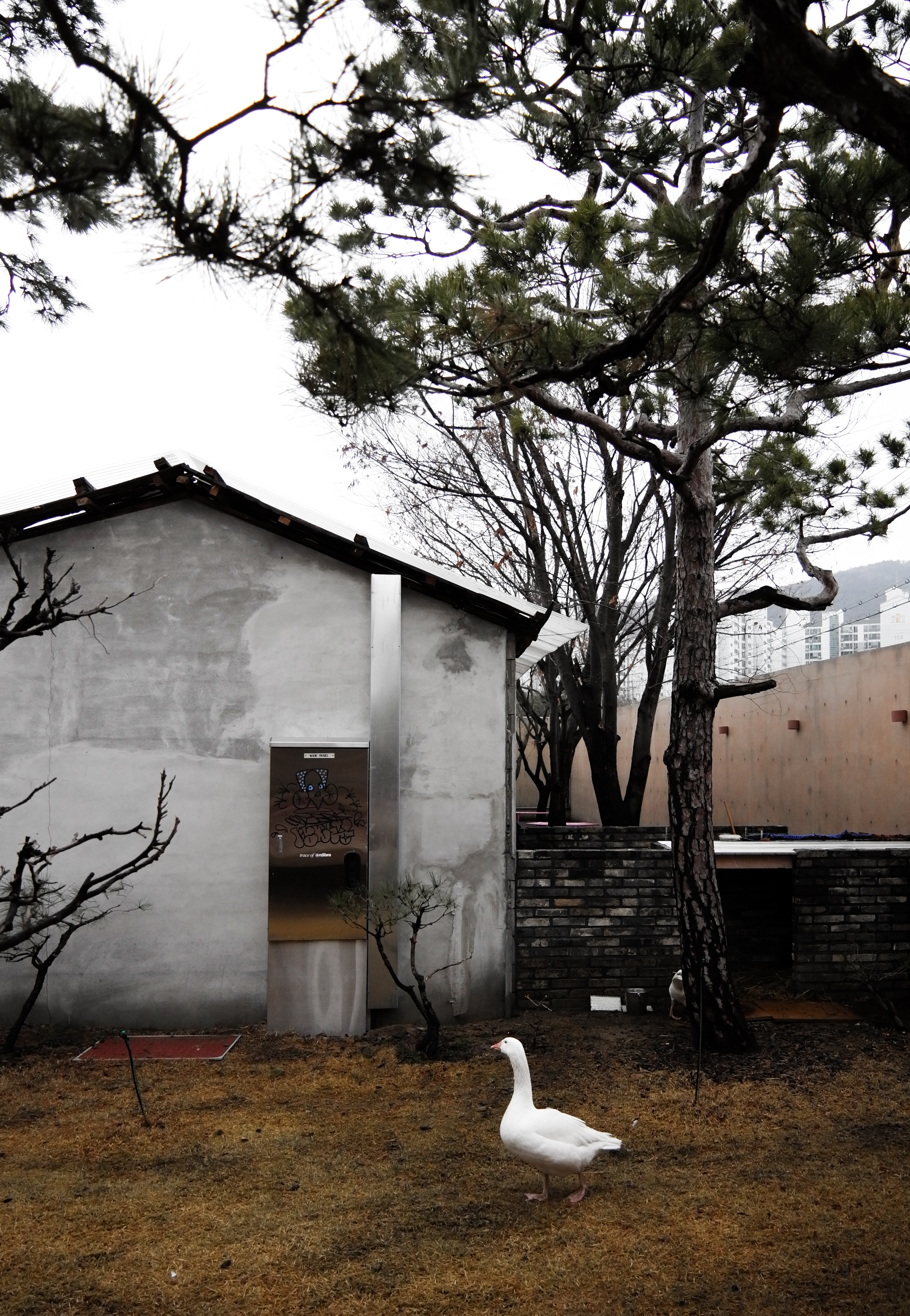 MRNW 야외공간