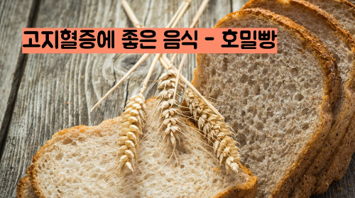 고지혈증에 좋은 음식