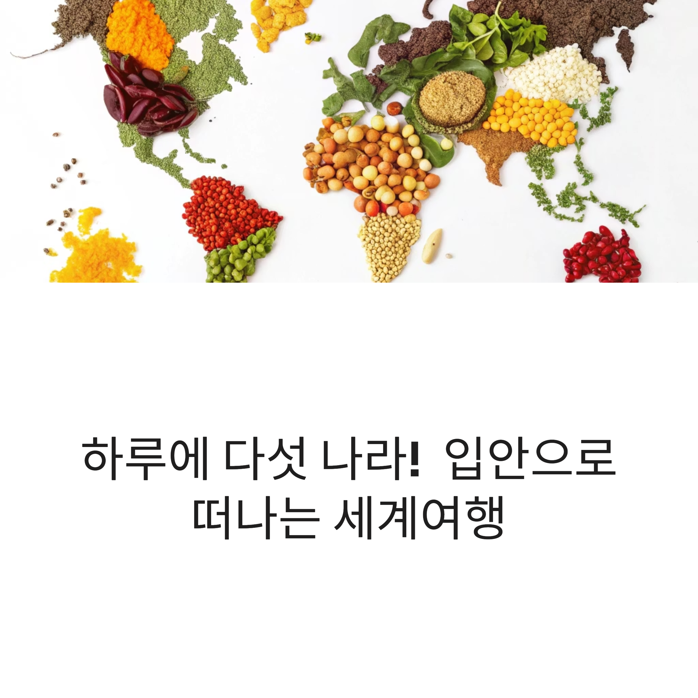 하루5개국 음식 여행코스