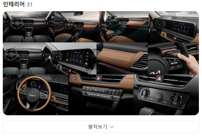 셀토스