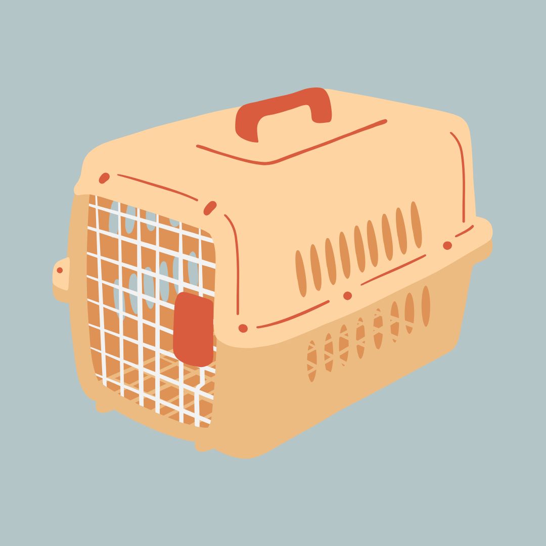 반려동물과/여행하기/대중교통별/이용방법