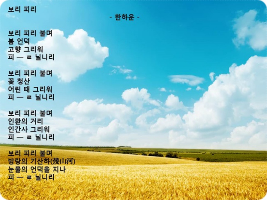 문둥병 환자였던 한하운 시인이 쓴 '보리 피리'라는 시의 전문을 적은 이미지 사진