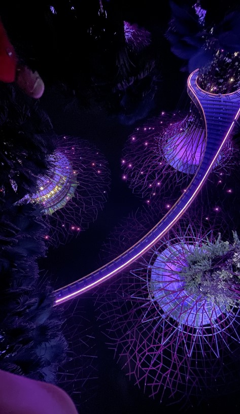 가든스 바이 더 베이 슈퍼 트리 쇼