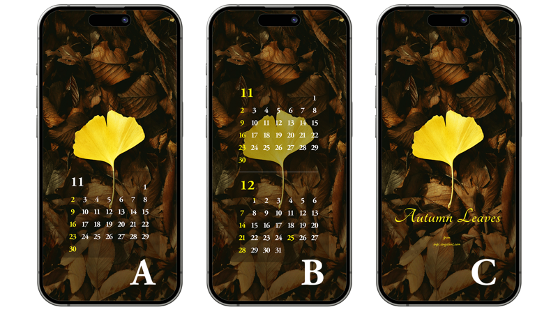 08 노란색 은행나무 잎 ABC - 2025년11월 아이폰배경화면