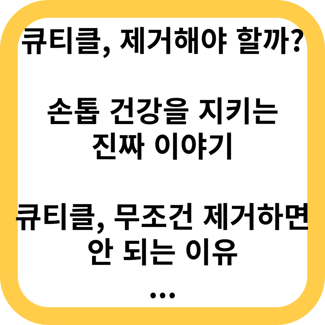 큐티클